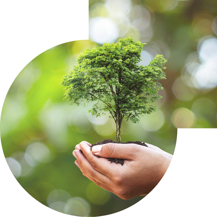 關懷人類、文化、環境與社會